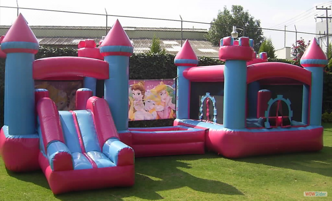 Combo Barbie & Princes